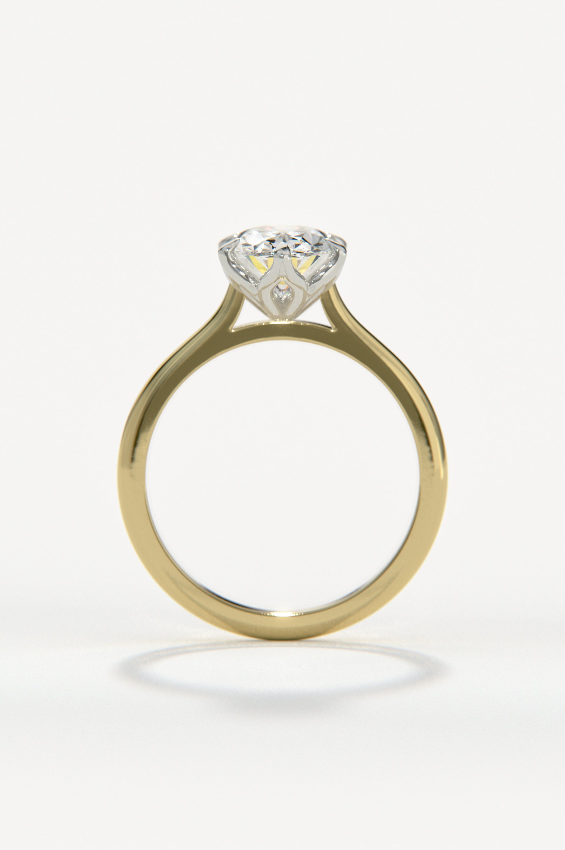 Tulip - Oval Yellow Two-Tone