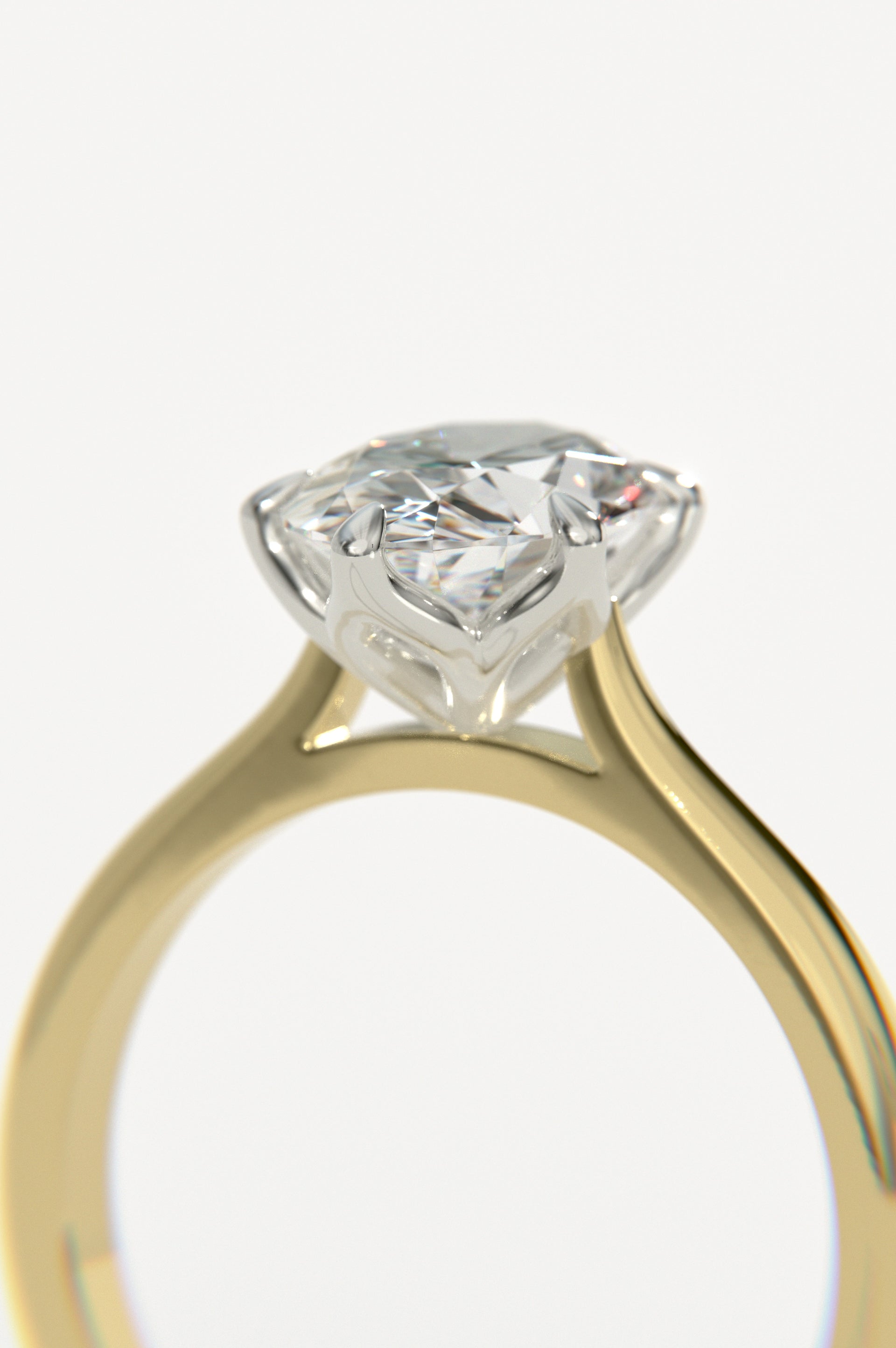 Tulip - Oval Yellow Two-Tone