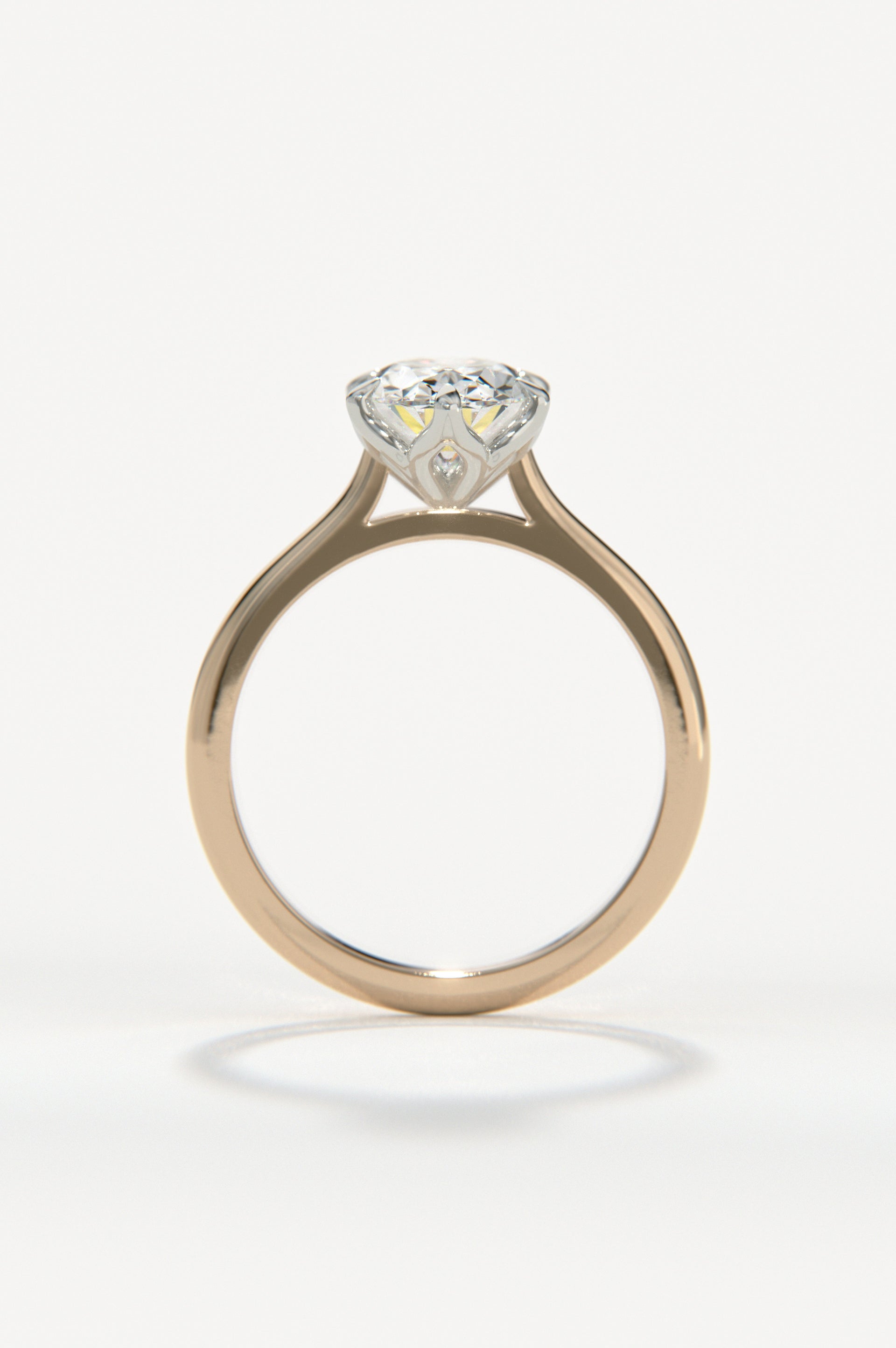 Tulip - Oval Rose Two-Tone