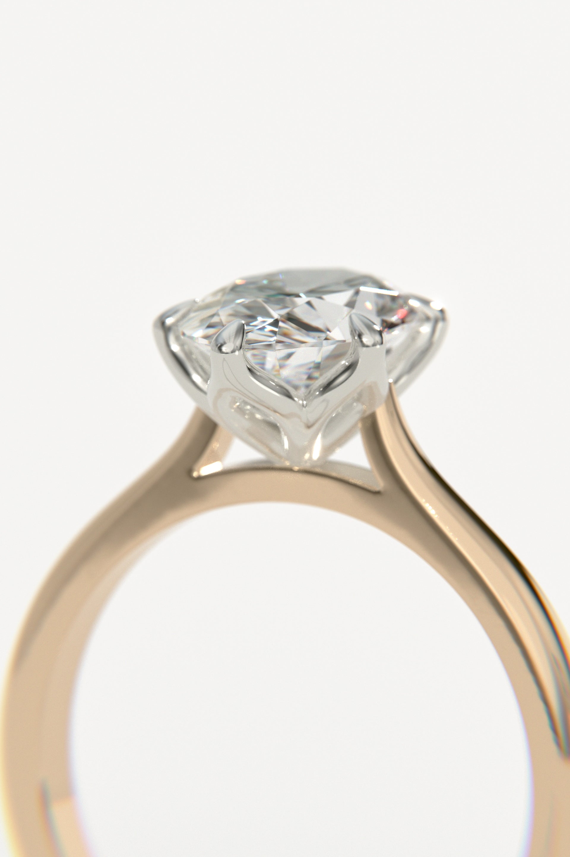 Tulip - Oval Rose Two-Tone