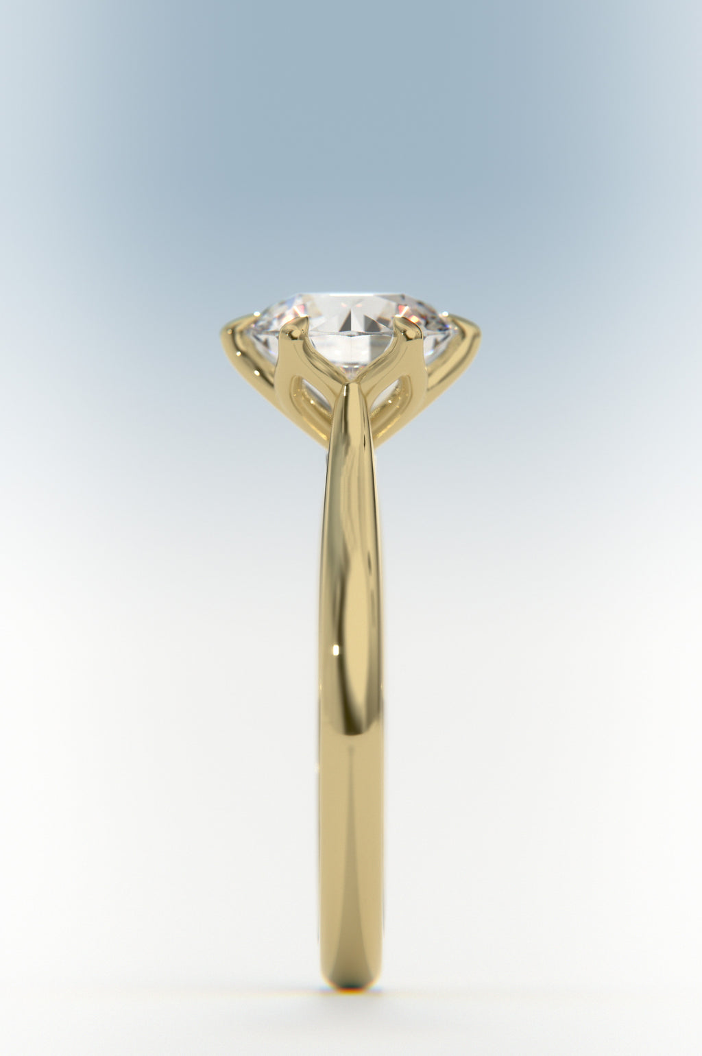 Tulip - Round Rose Two-Tone
