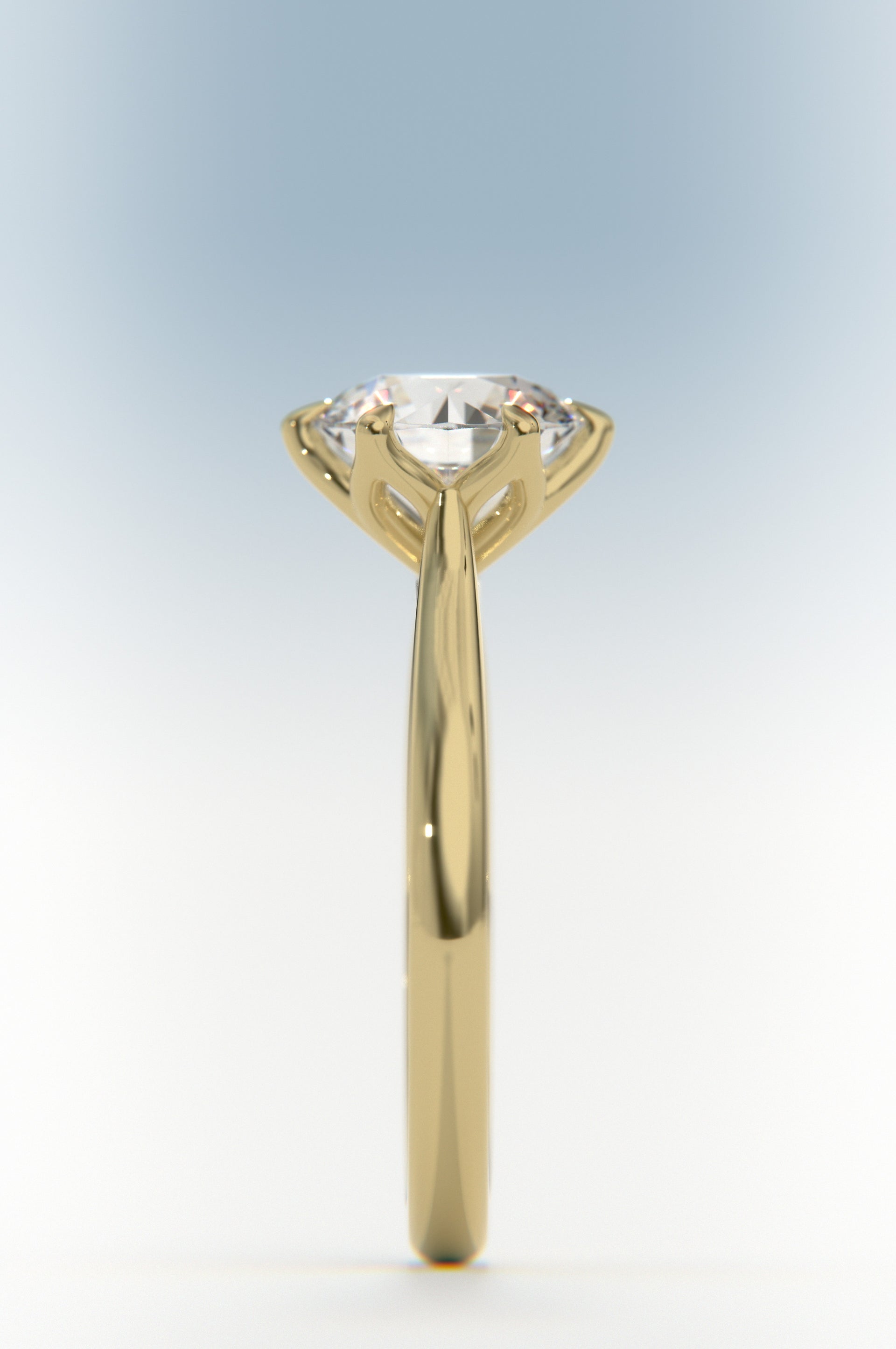 Tulip - Round Rose Two-Tone