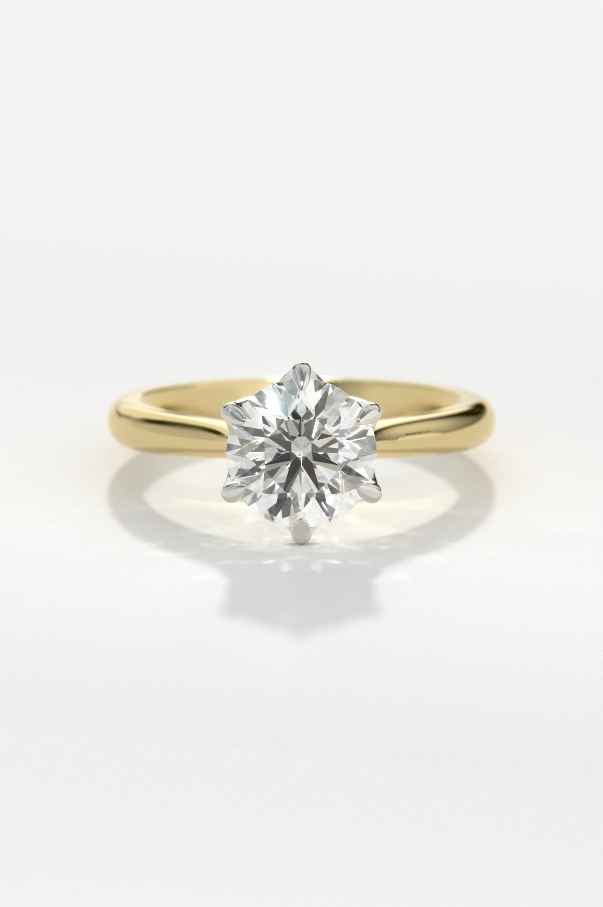 Tulip - Round Yellow Two-Tone