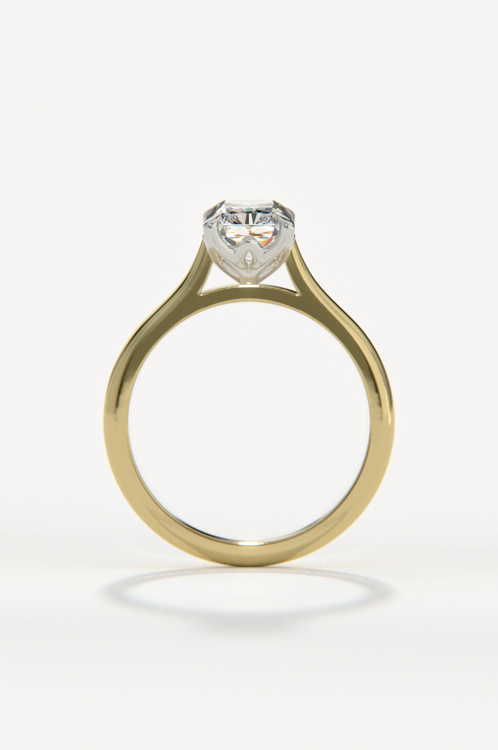 Lily - Radiant Yellow Two-Tone