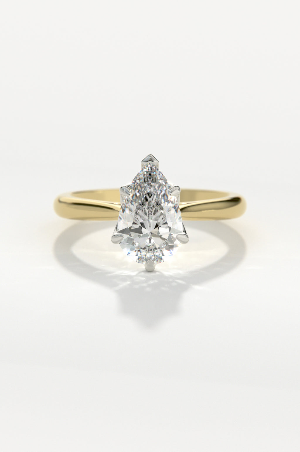 Tulip - Pear Yellow Two-Tone