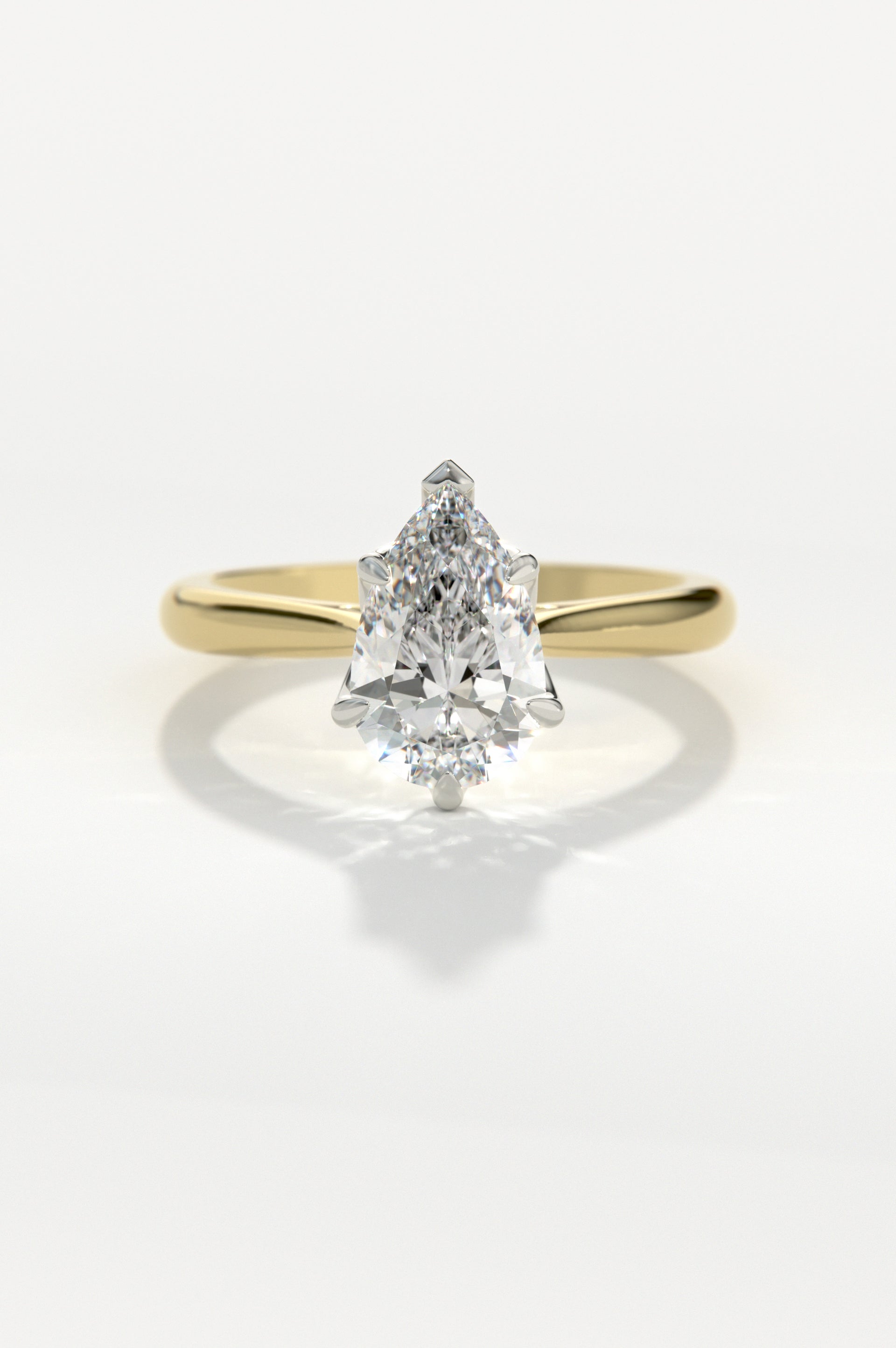 Tulip - Pear Yellow Two-Tone