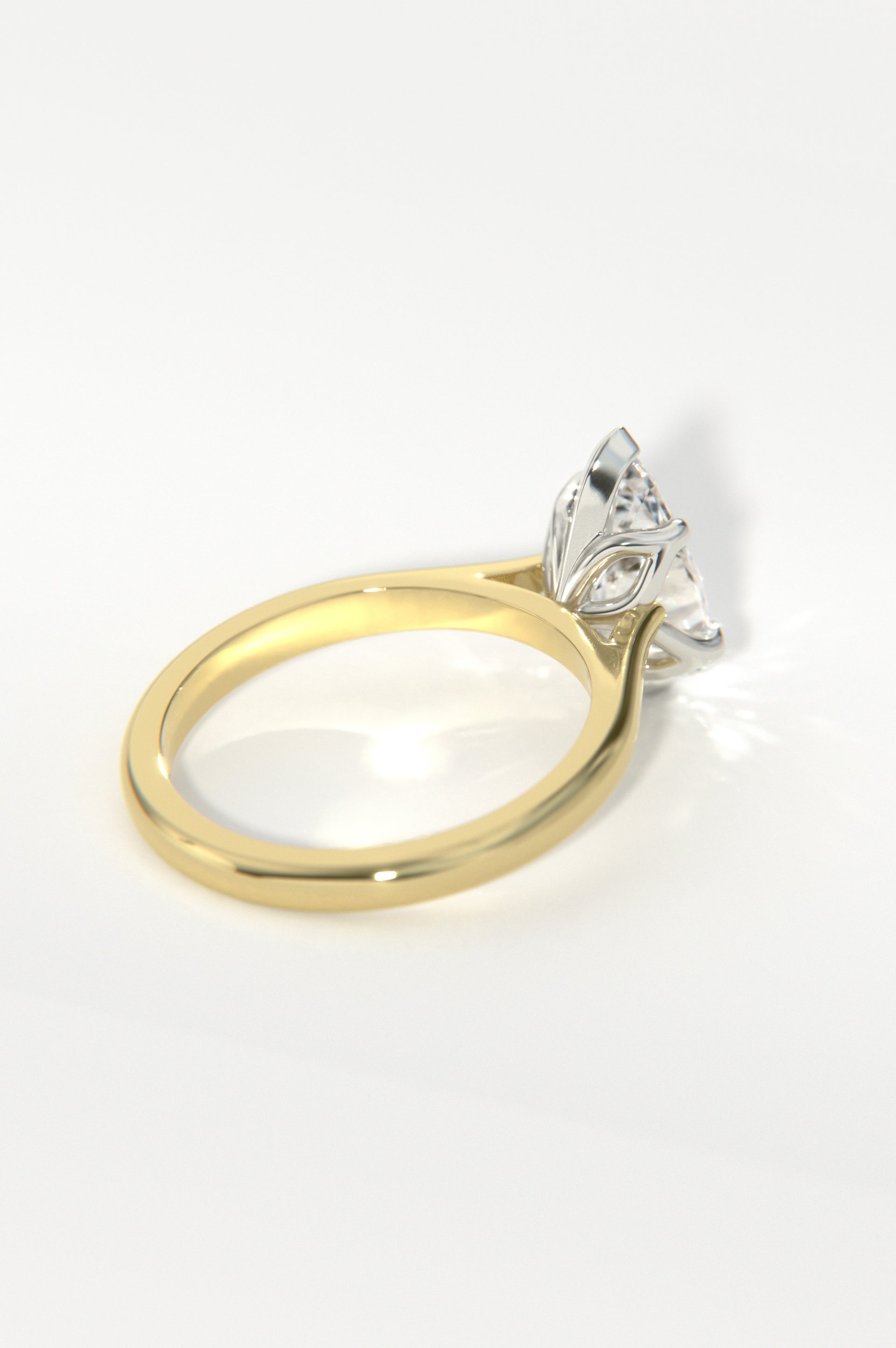 Tulip - Pear Yellow Two-Tone