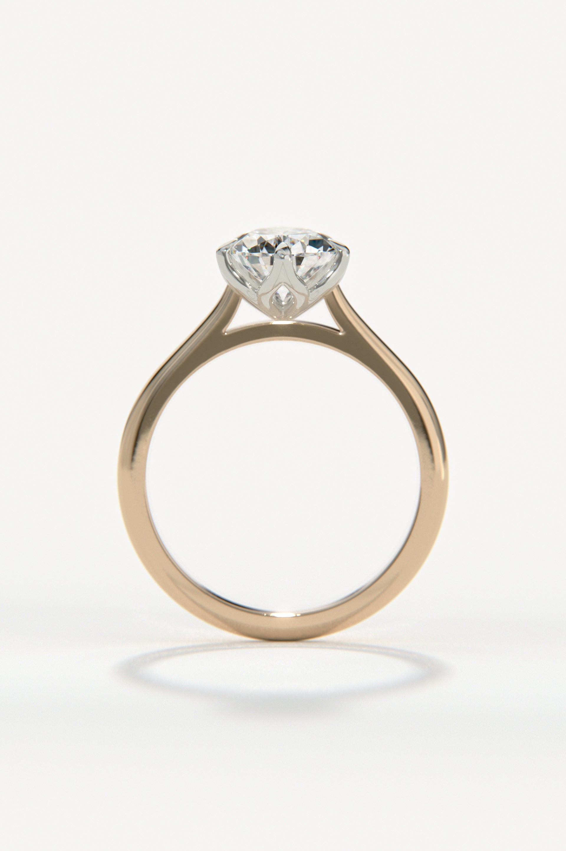 Tulip - Pear Rose Two-Tone