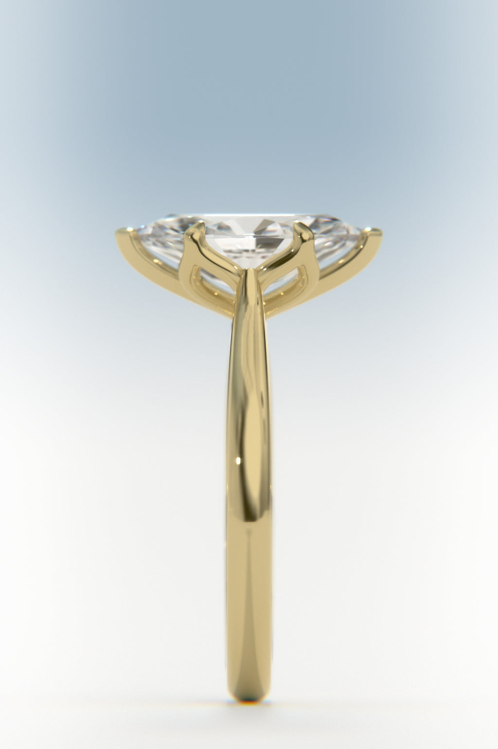 Tulip - Marquise White