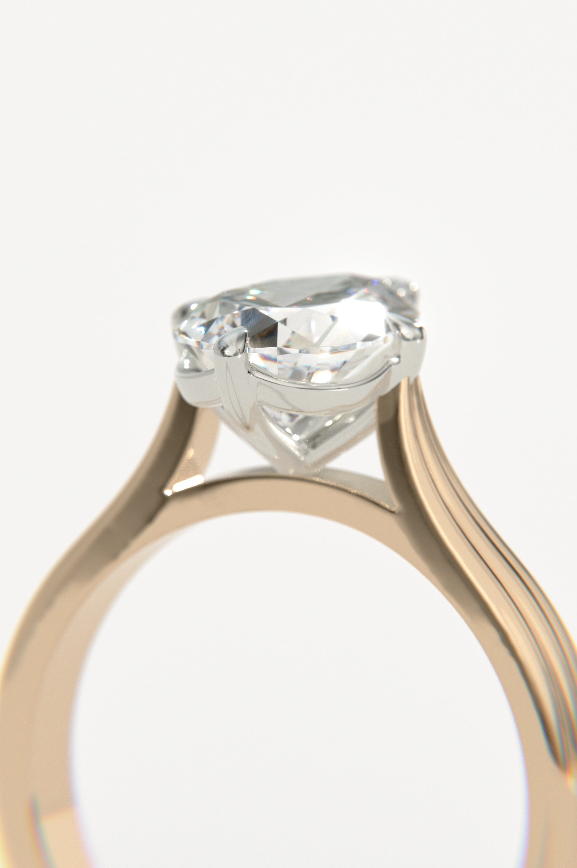 Cabaret Rose Two-Tone