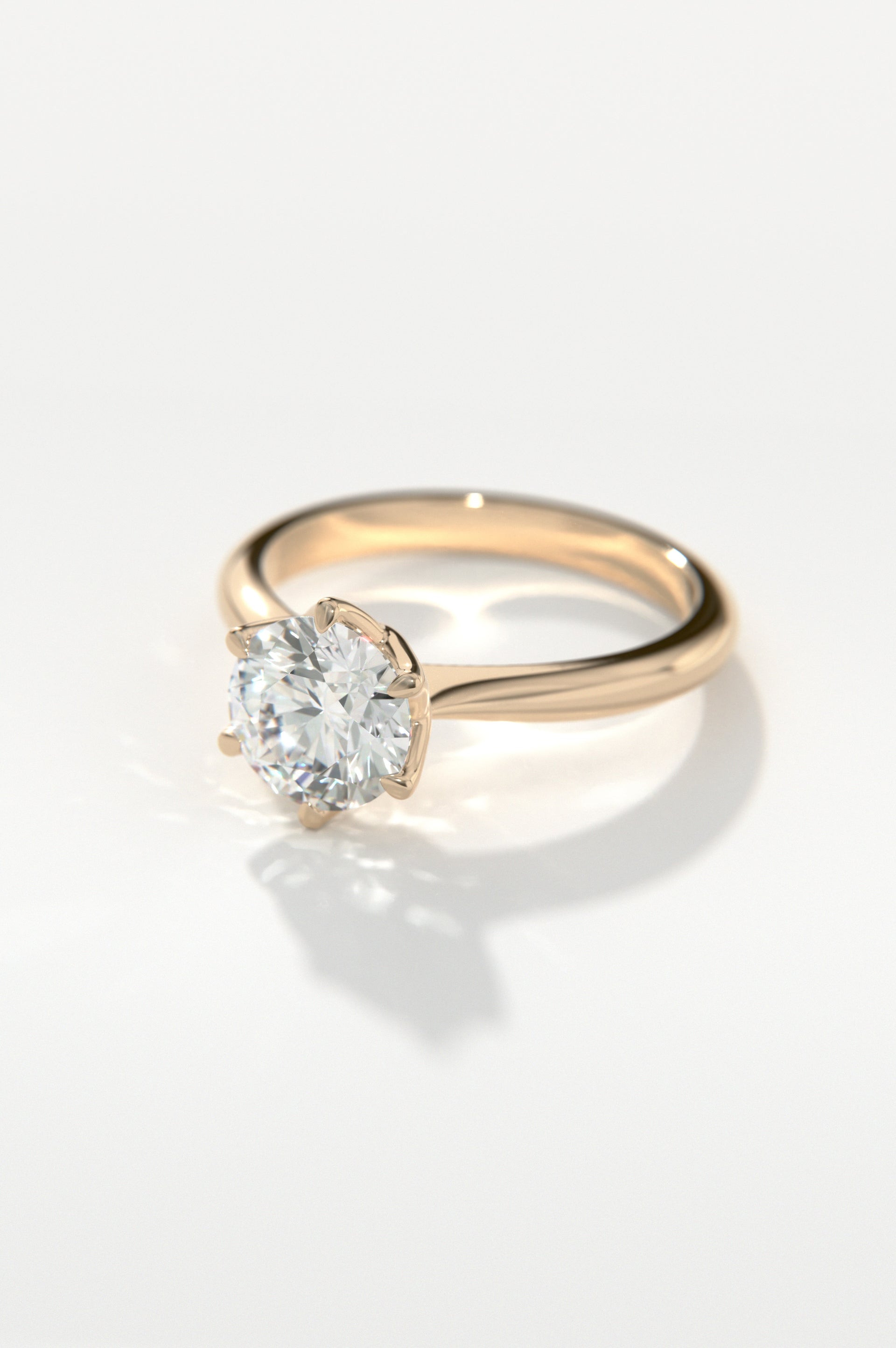 Posy Rose