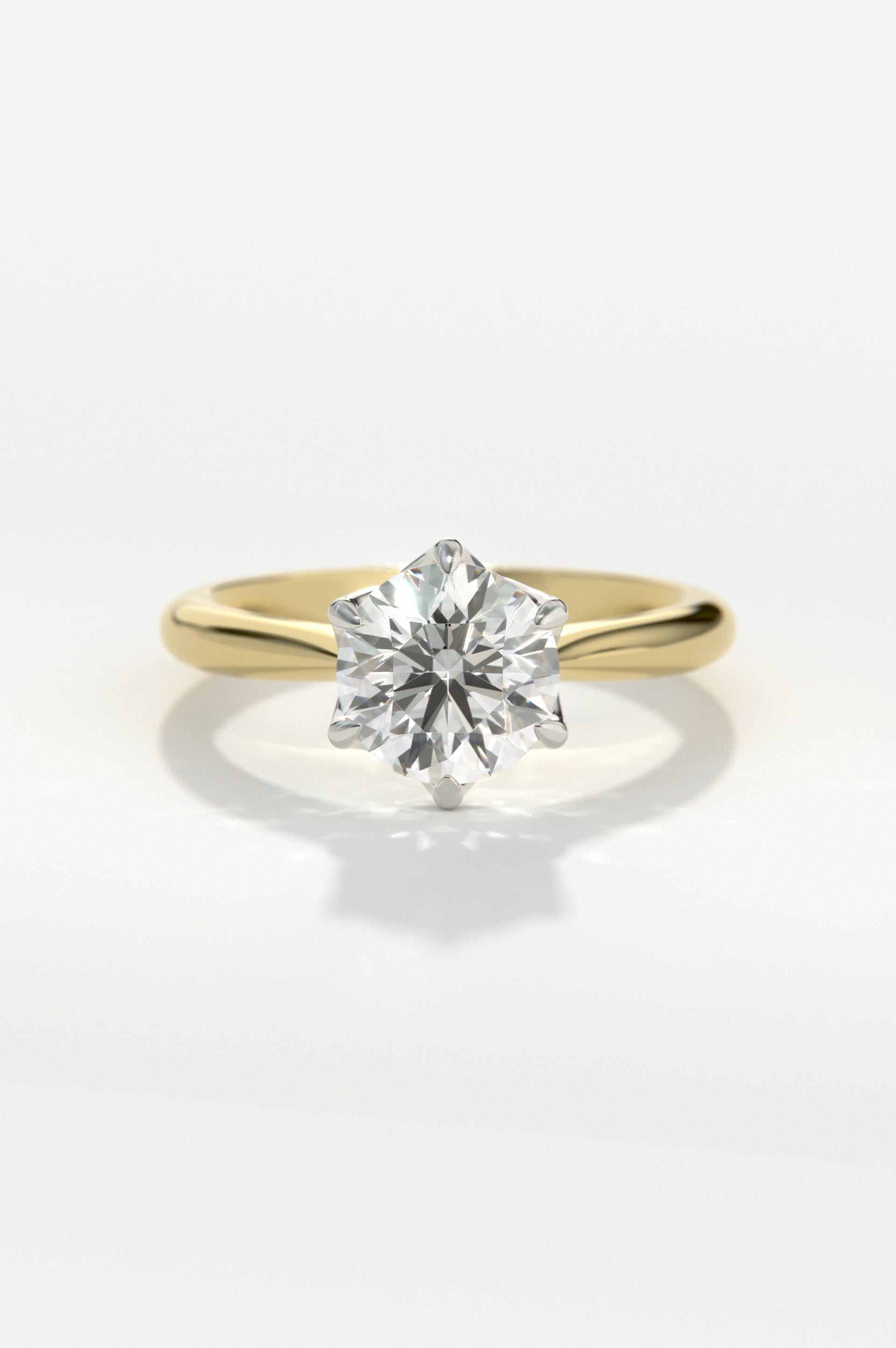 Posy Yellow Two-Tone