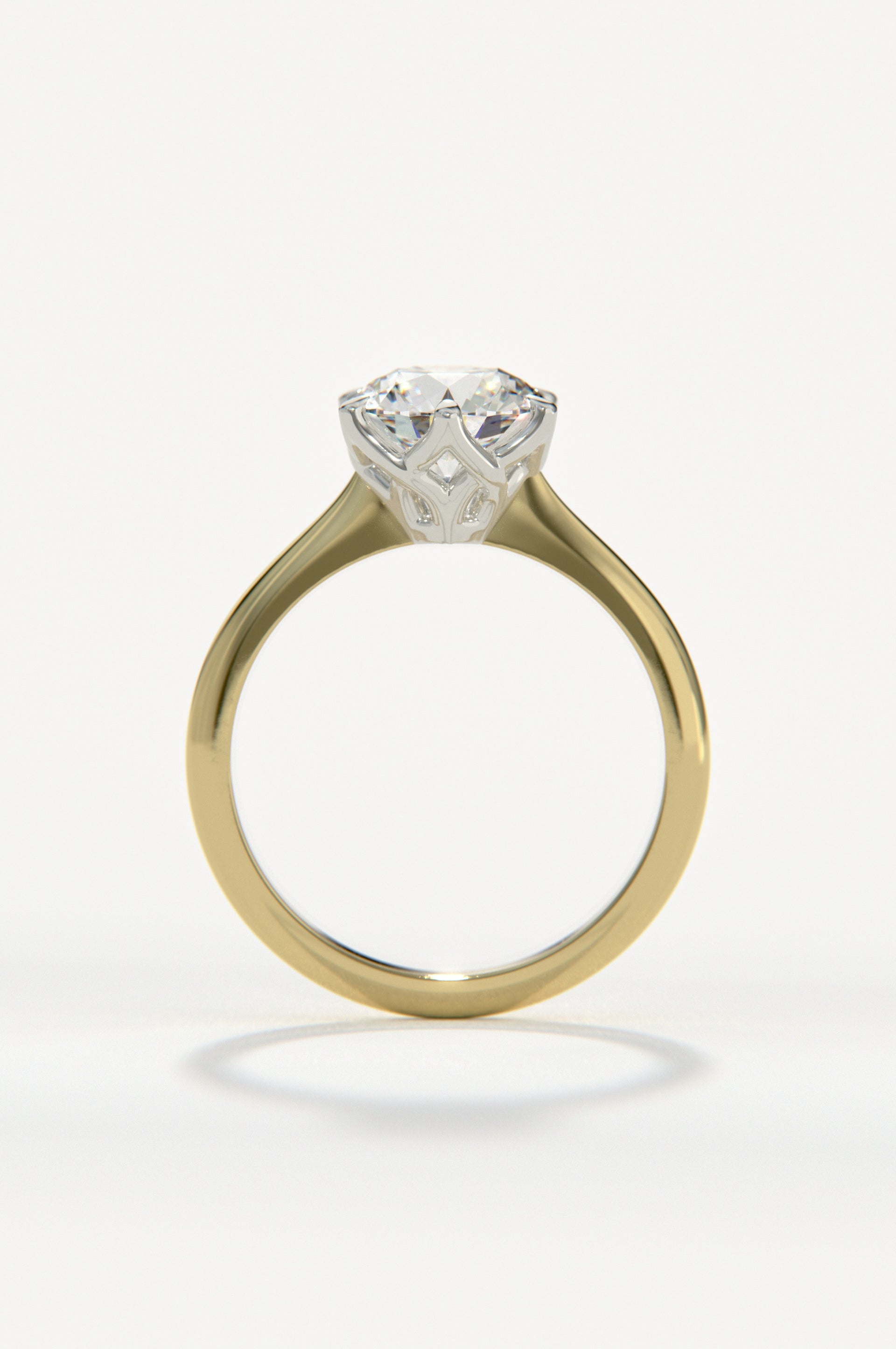 Posy Yellow Two-Tone