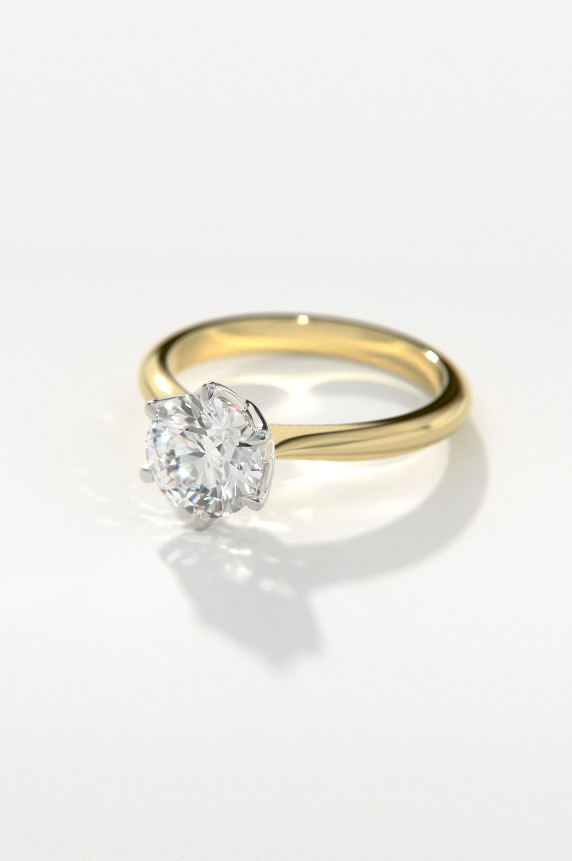 Posy Yellow Two-Tone