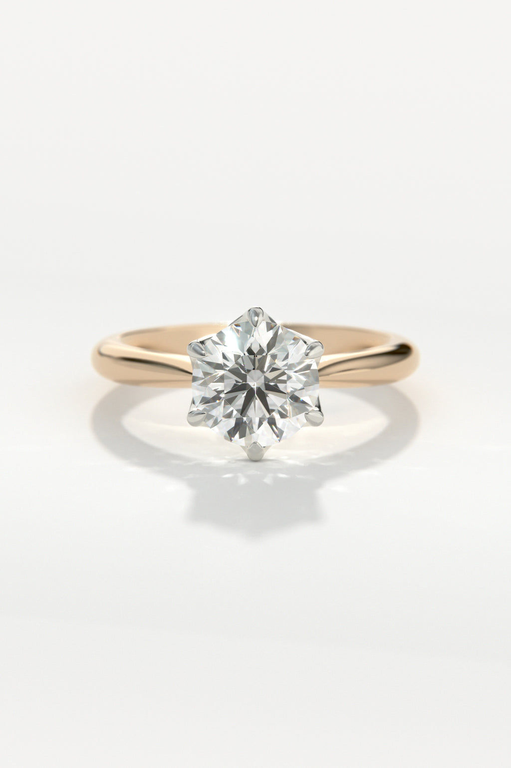 Posy Rose Two-Tone