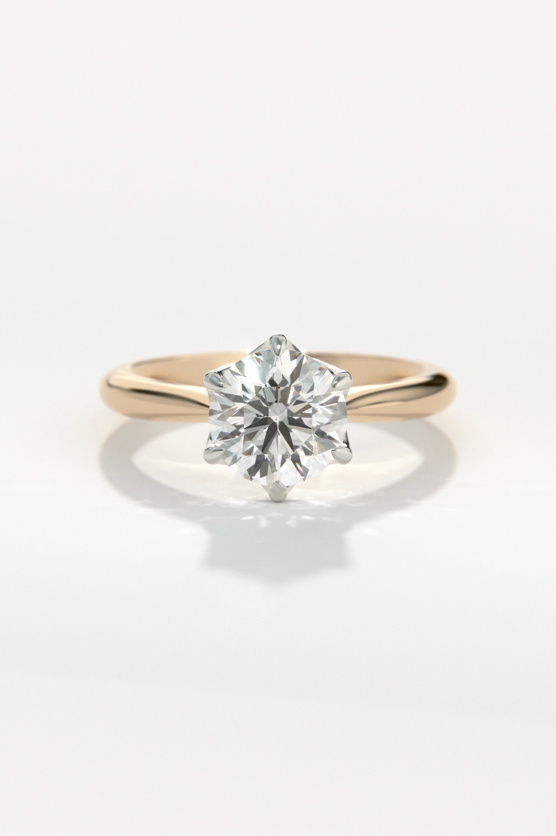 Posy Rose Two-Tone