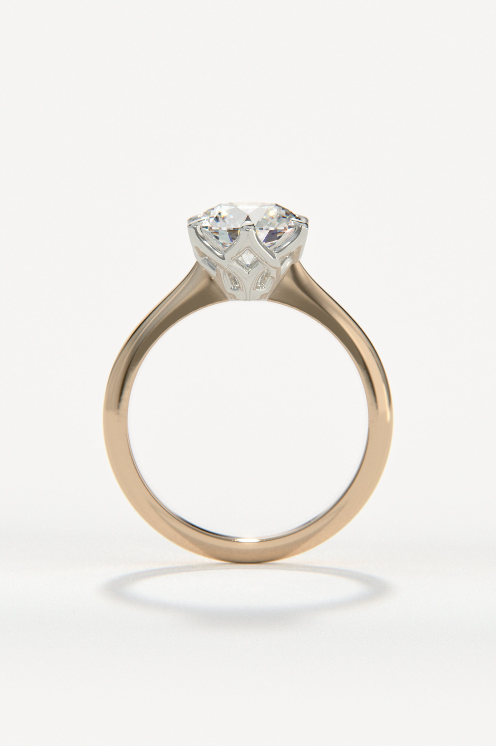 Posy Rose Two-Tone