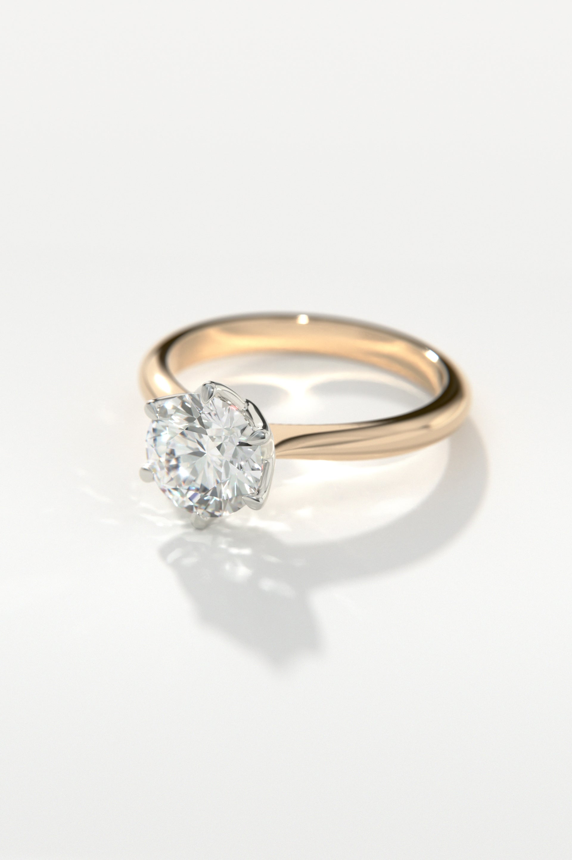 Posy Rose Two-Tone