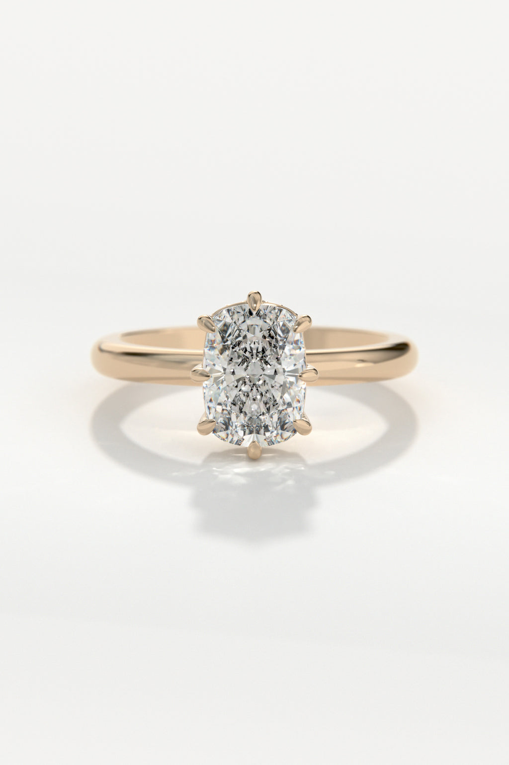 Scintilla Rose
