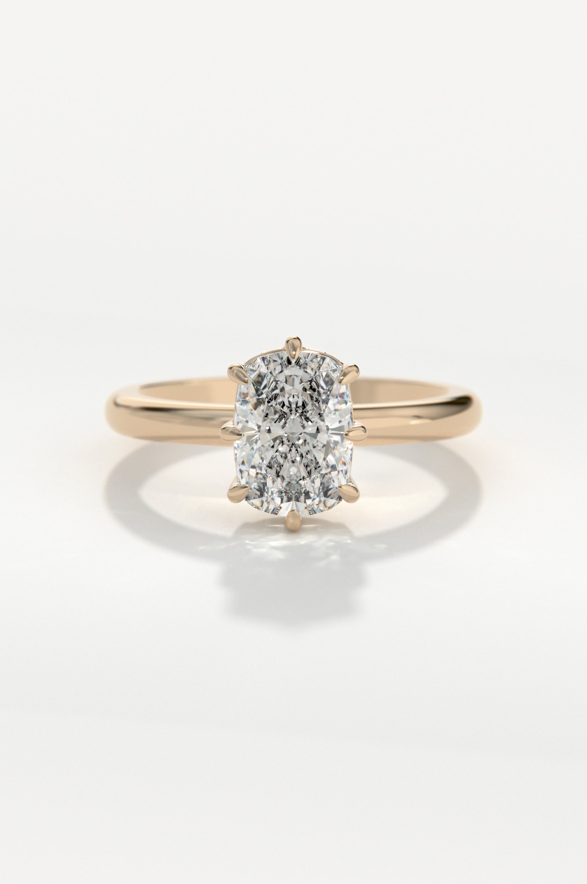 Scintilla Rose