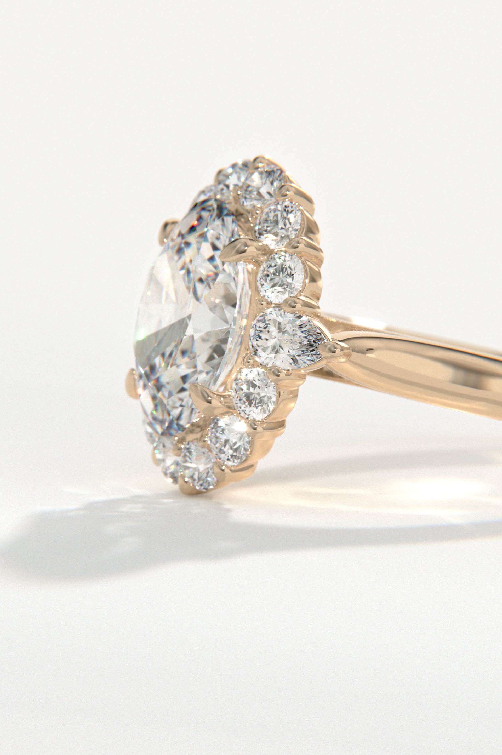 Diadem Rose