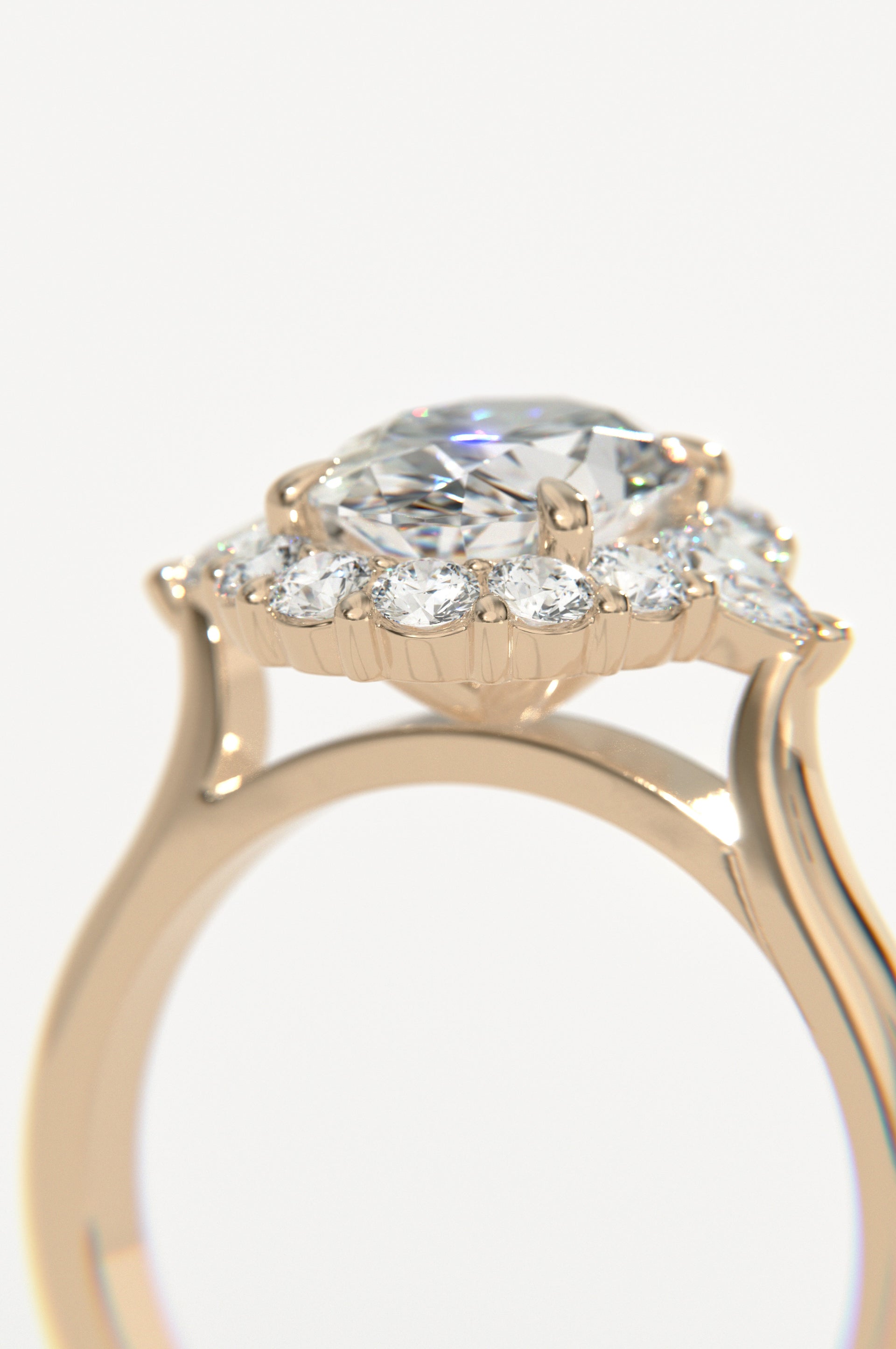 Diadem Rose