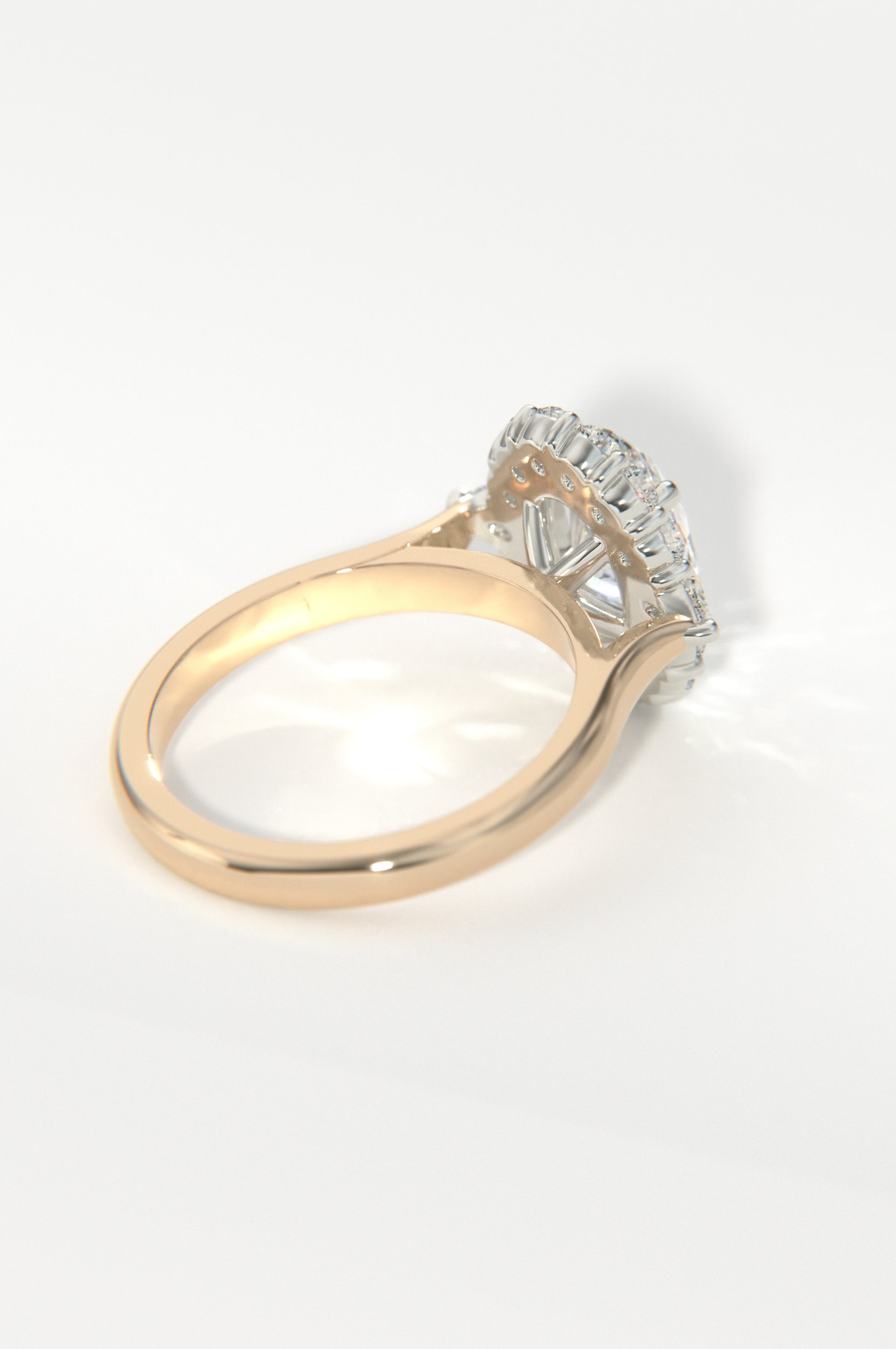 Diadem Rose Two-Tone