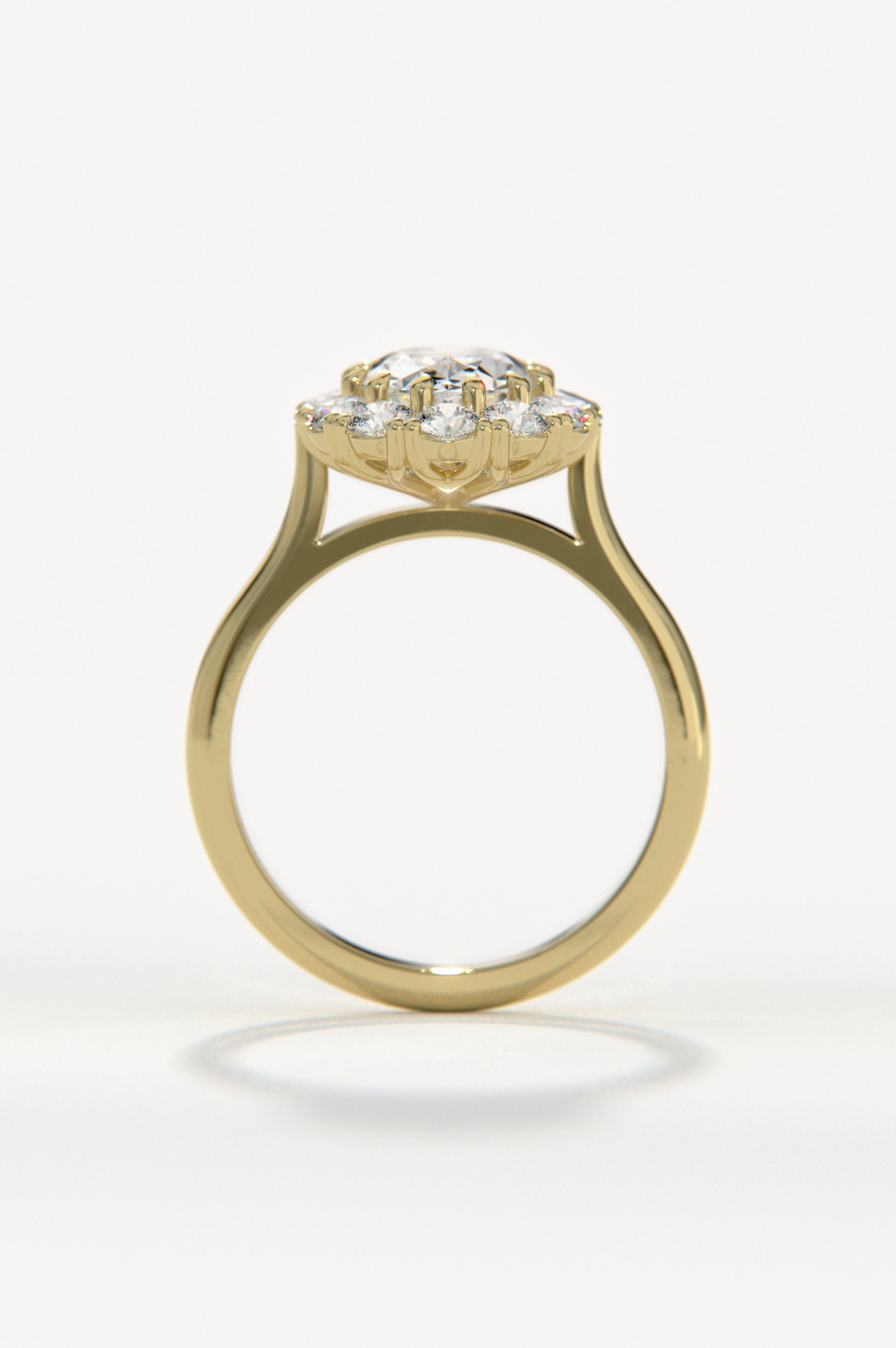 Camellia Yellow