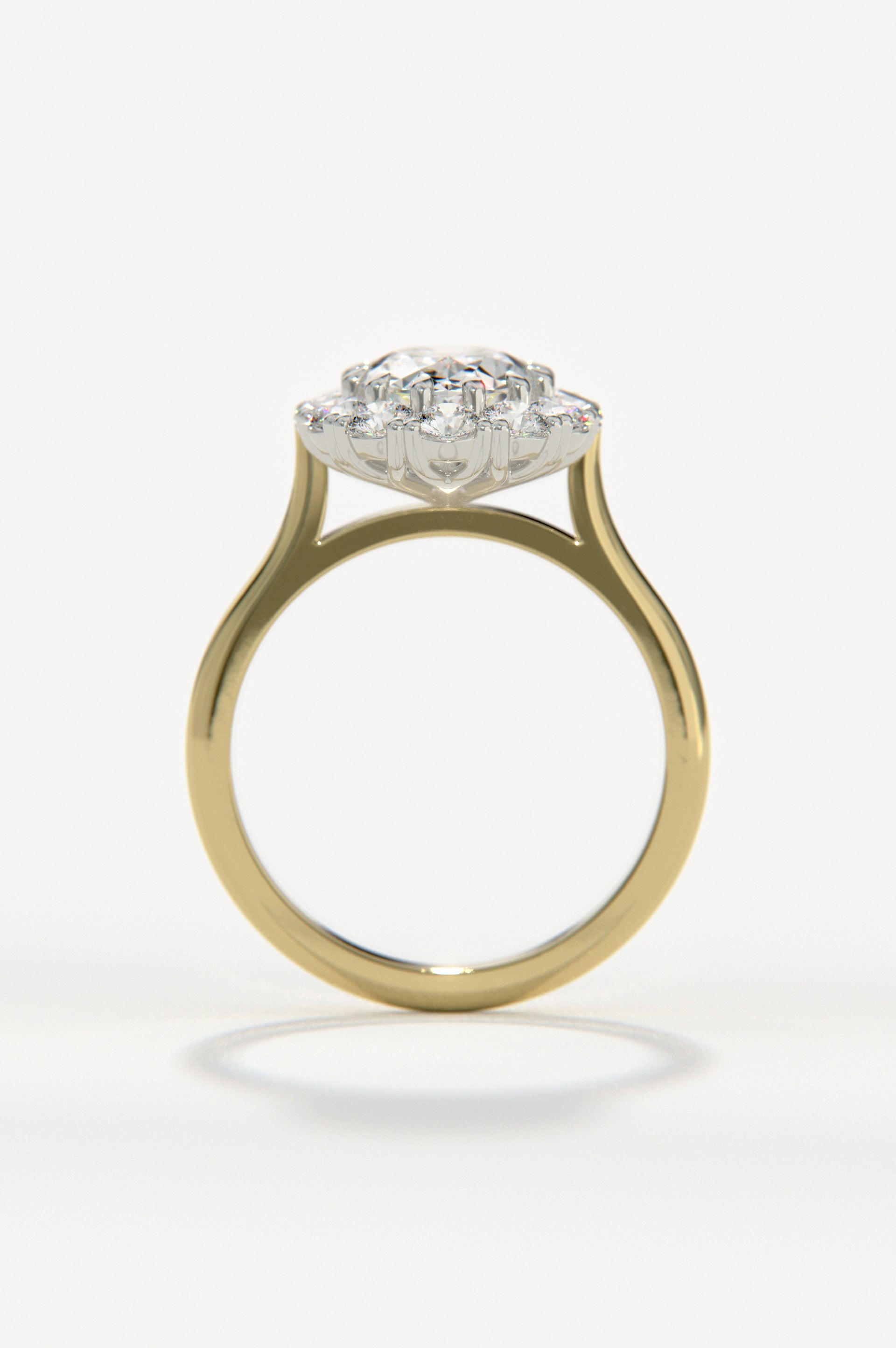 Camellia Yellow Two-Tone