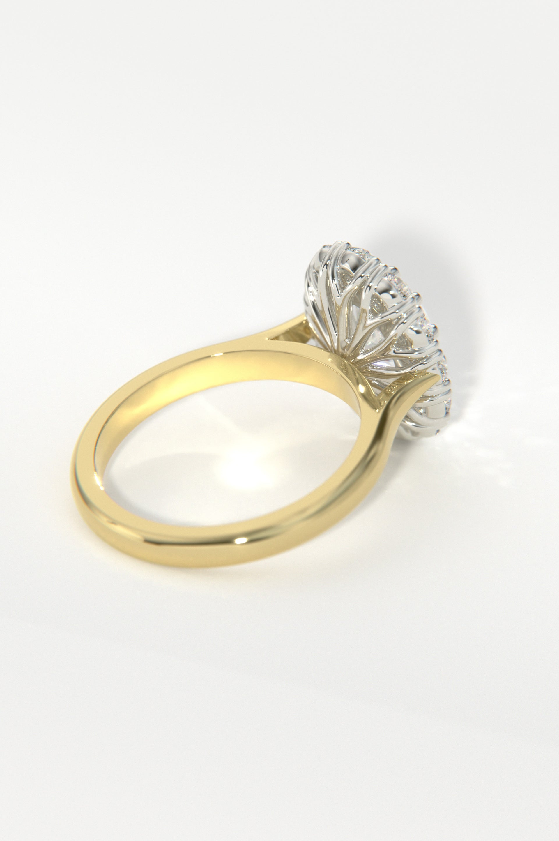Camellia Yellow Two-Tone