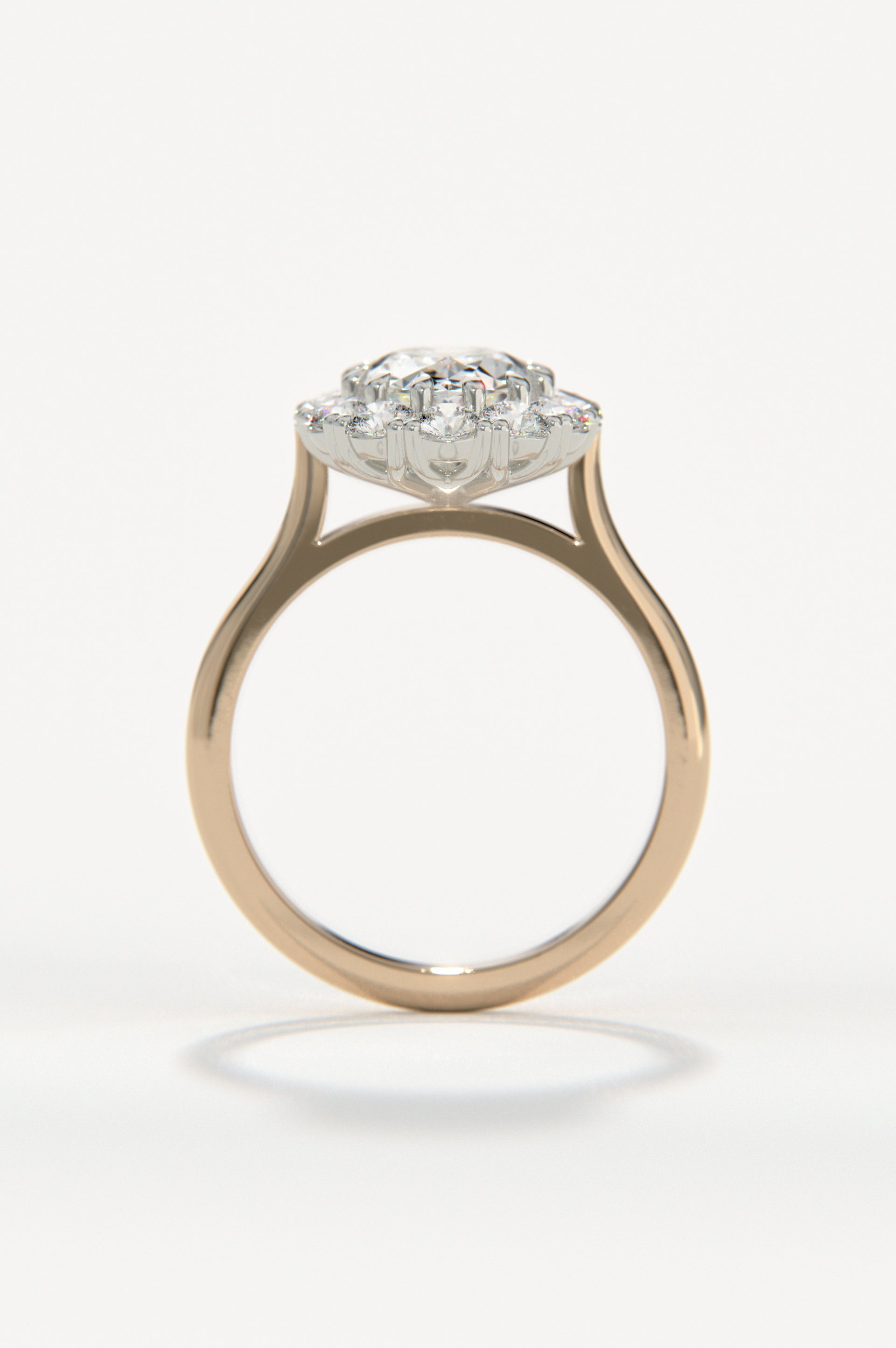 Camellia Rose Two-Tone