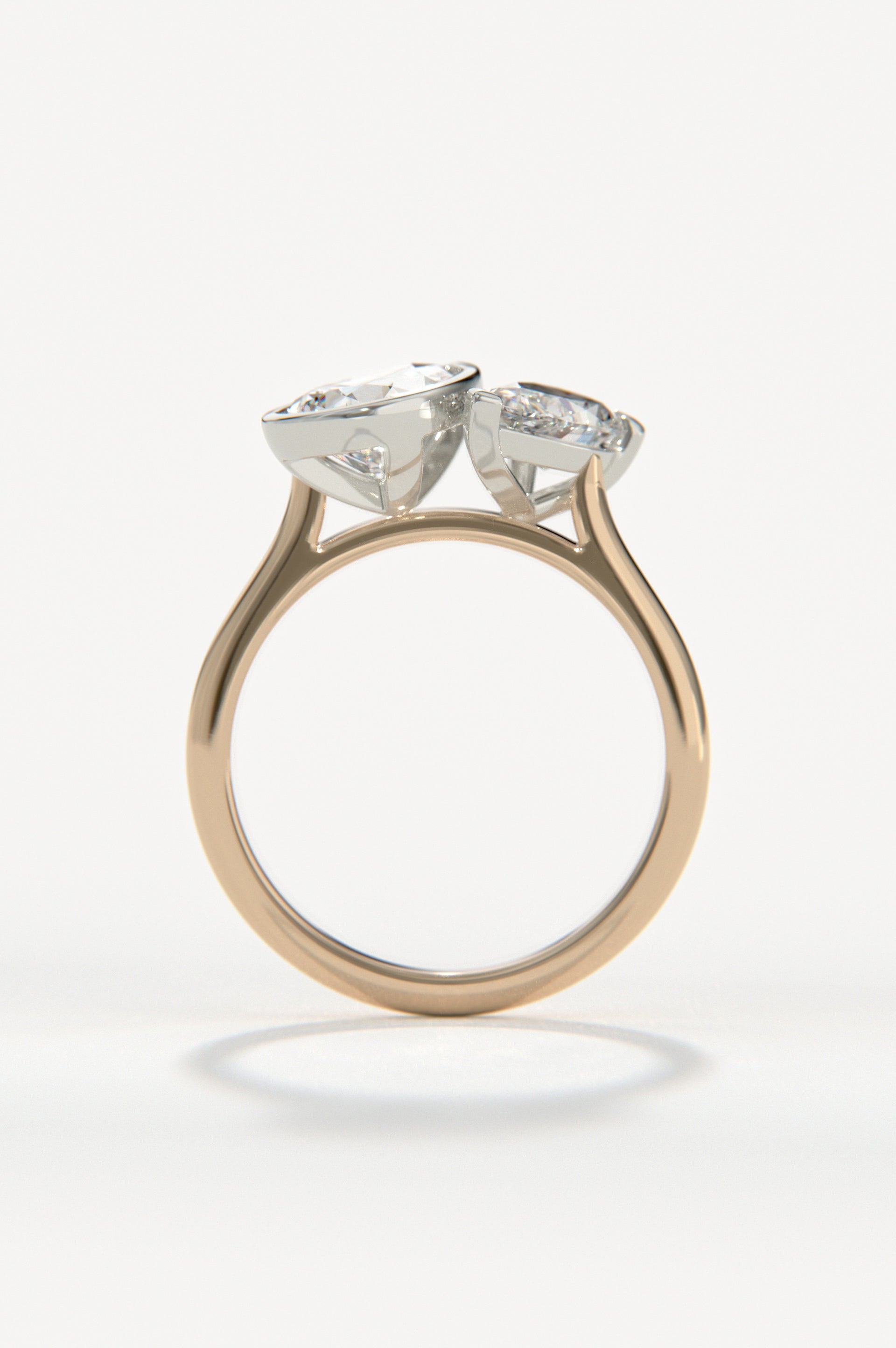 Cascade Rose Two-Tone