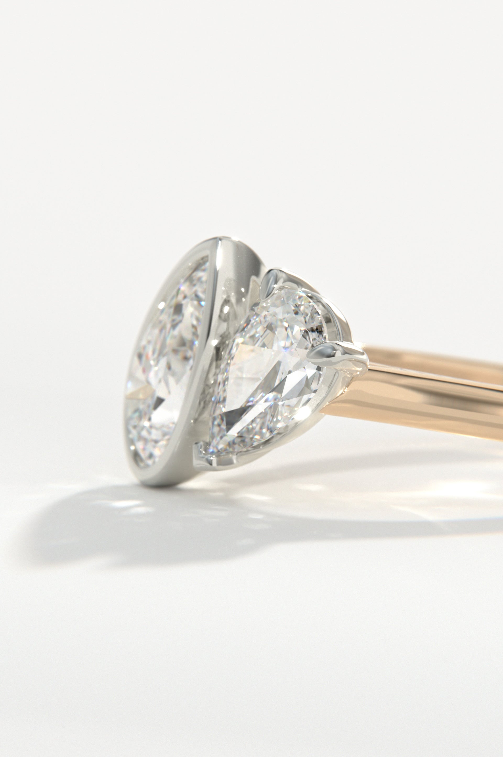 Cascade Rose Two-Tone