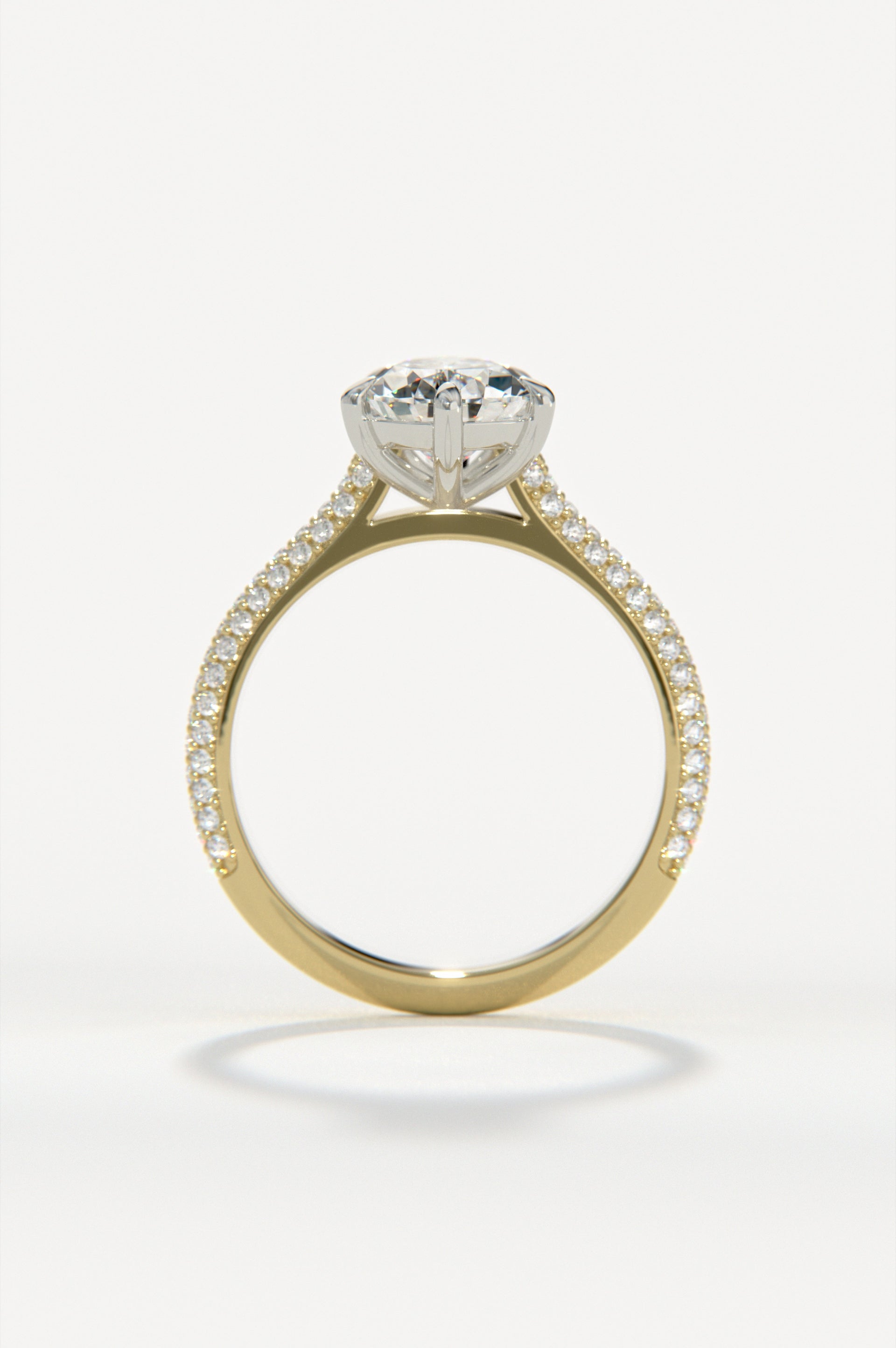 Astral Yellow Two-Tone
