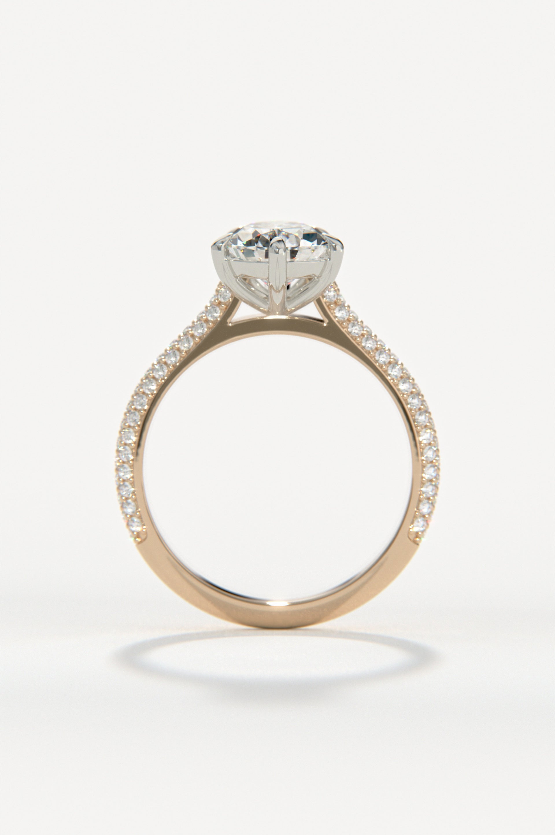 Astral Rose Two-Tone