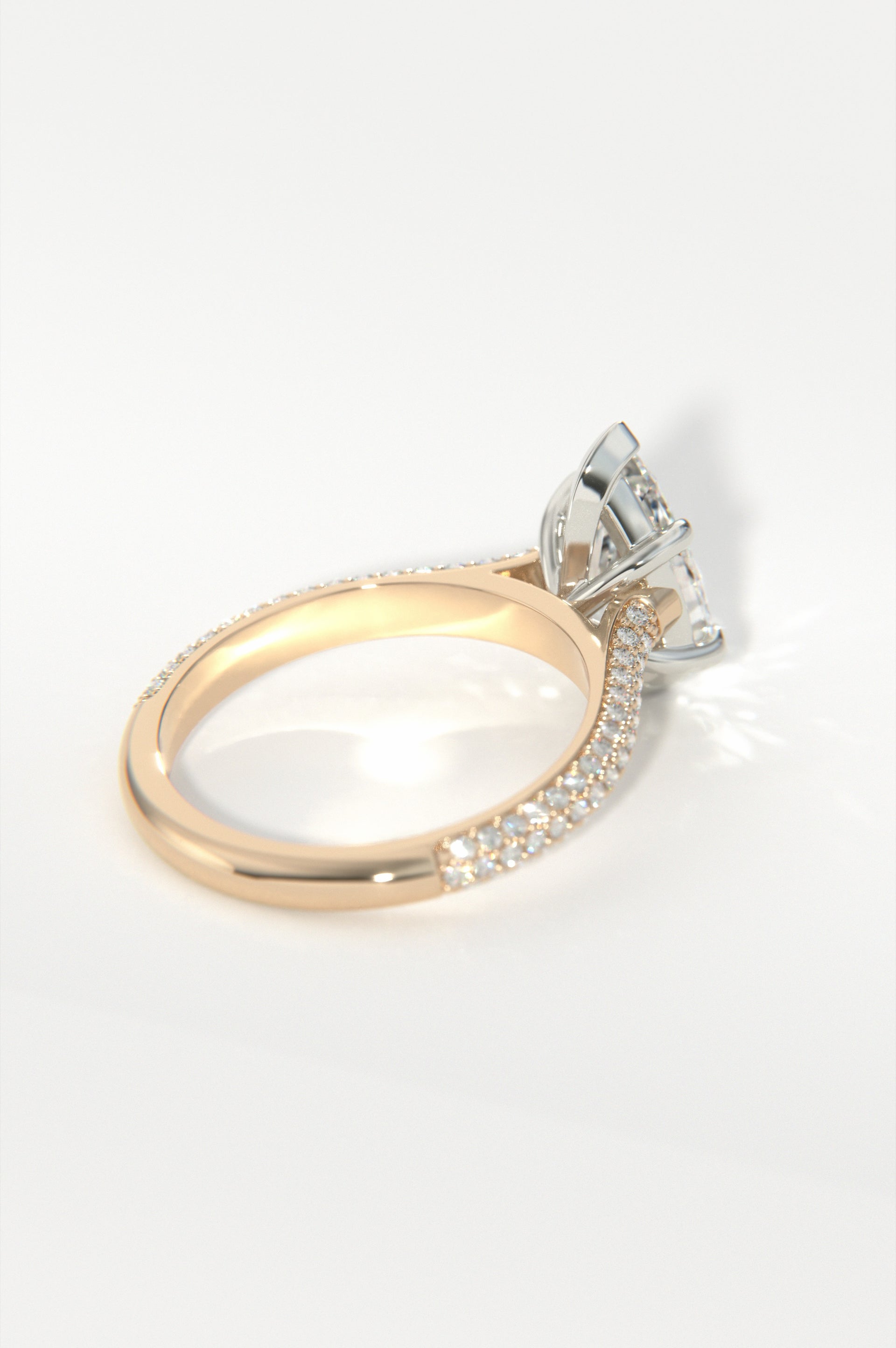 Astral Rose Two-Tone