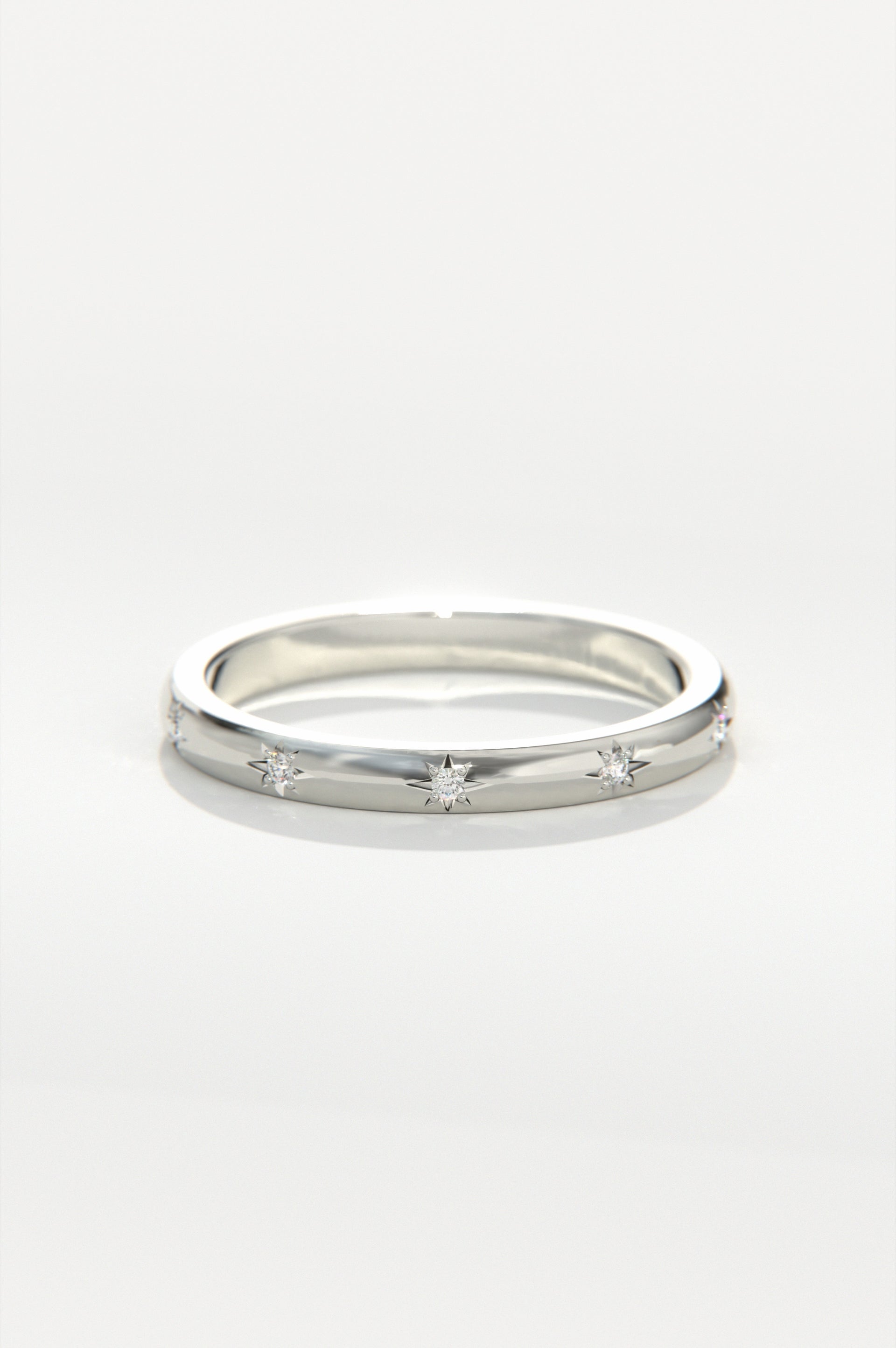 Aster White