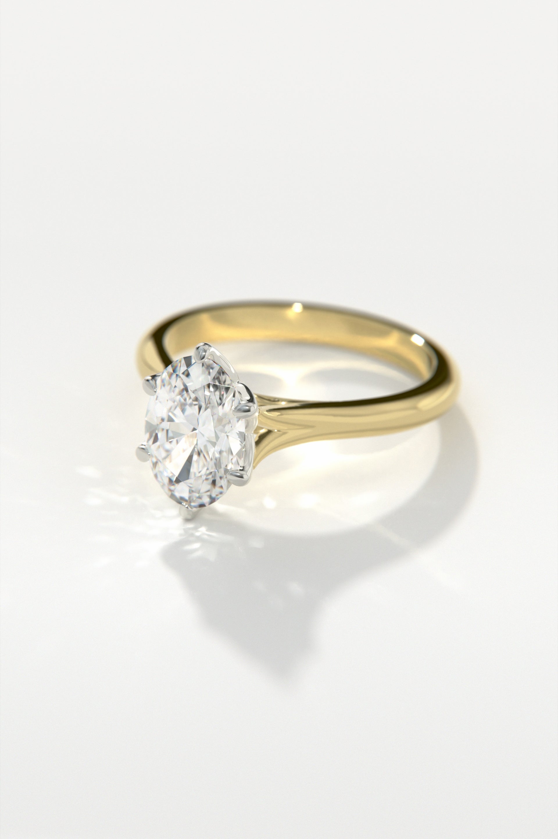 Flora Yellow Two-Tone