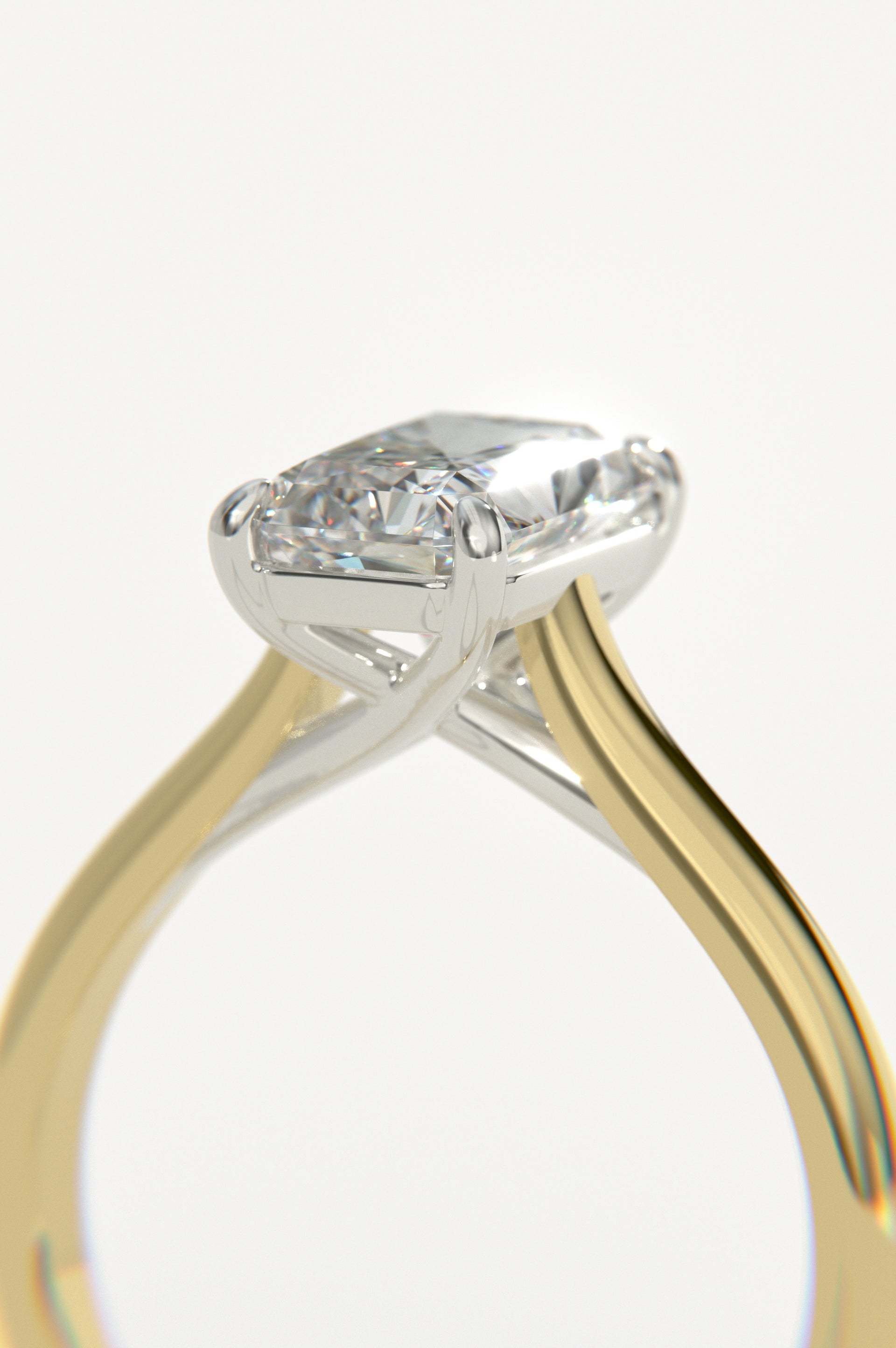 Trellis - Radiant Yellow Two-Tone