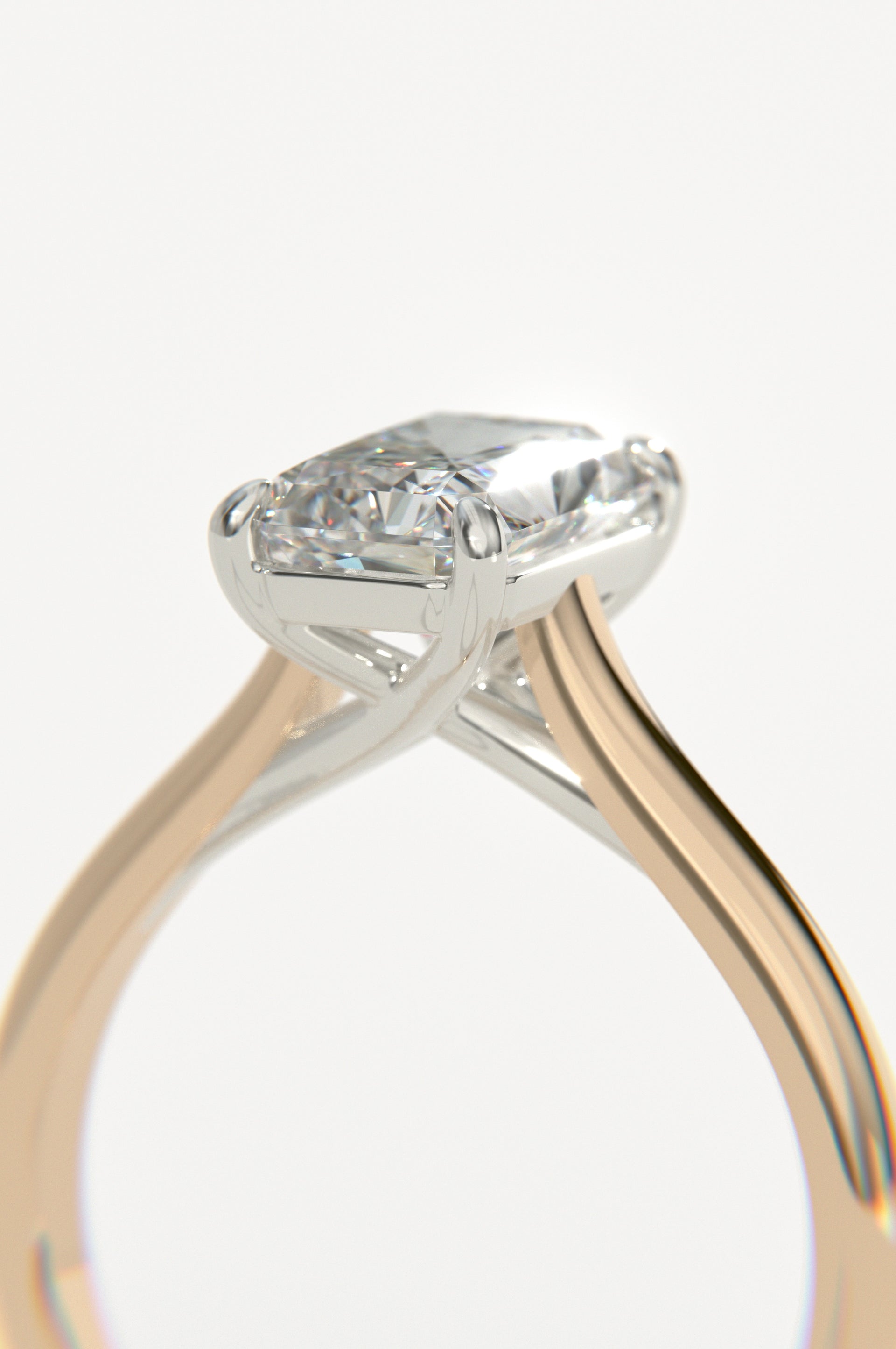 Trellis - Radiant Rose Two-Tone
