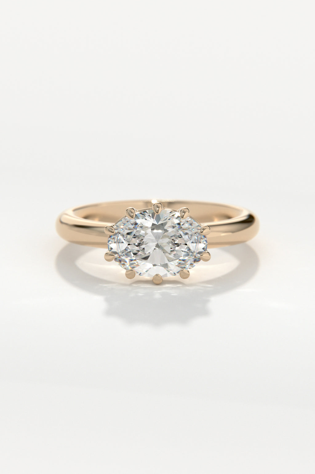 Oasis Rose